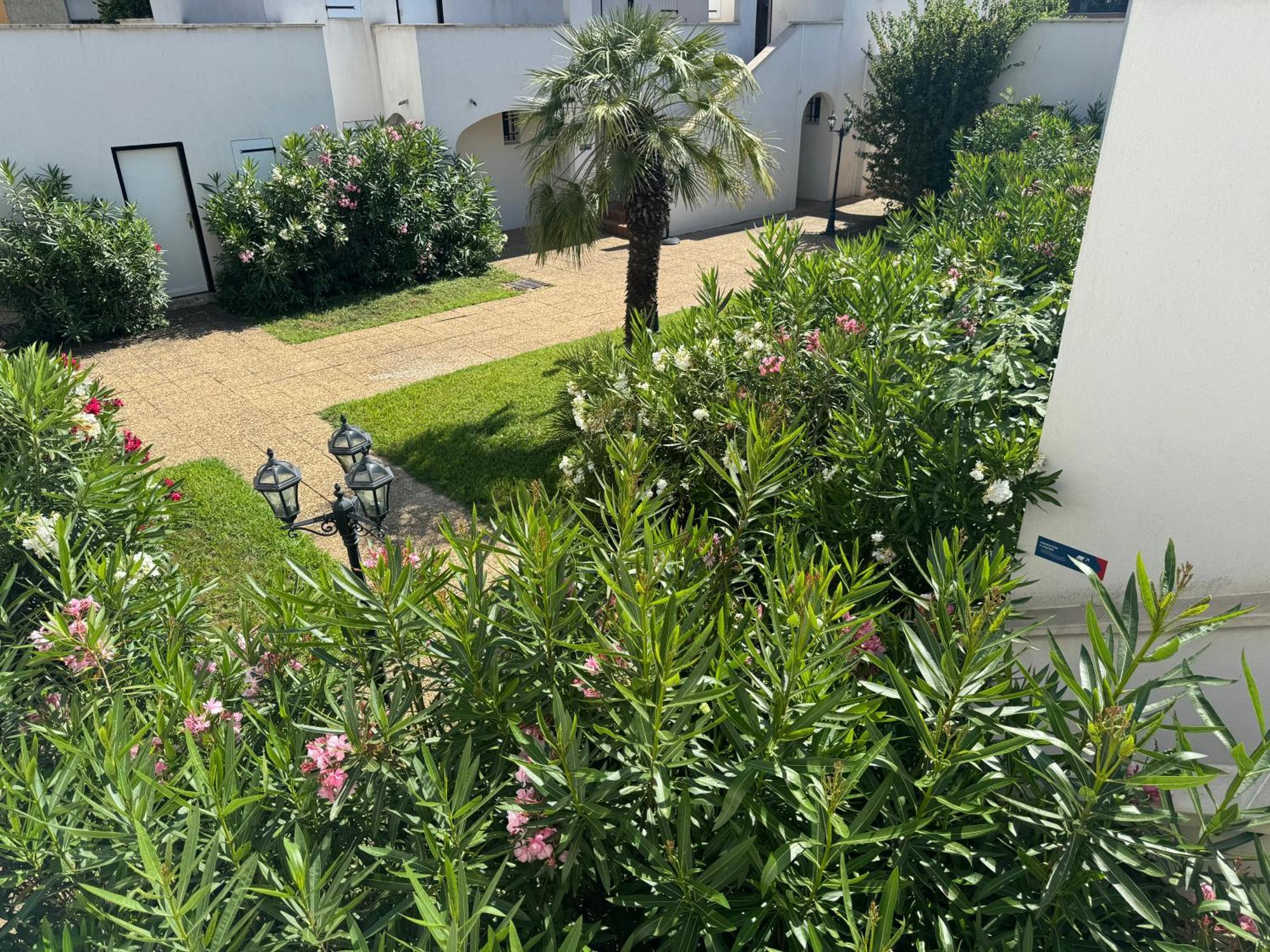 Beach Cannes Bungalows 勒卡内 外观 照片